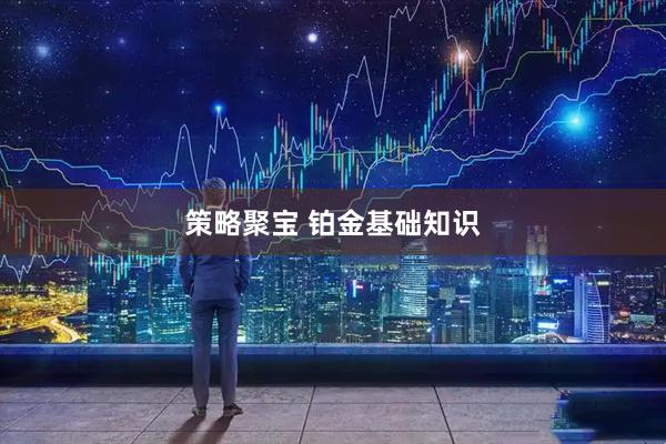 策略聚宝 铂金基础知识