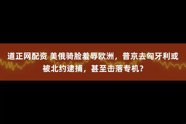 道正网配资 美俄骑脸羞辱欧洲，普京去匈牙利或被北约逮捕，甚至击落专机？